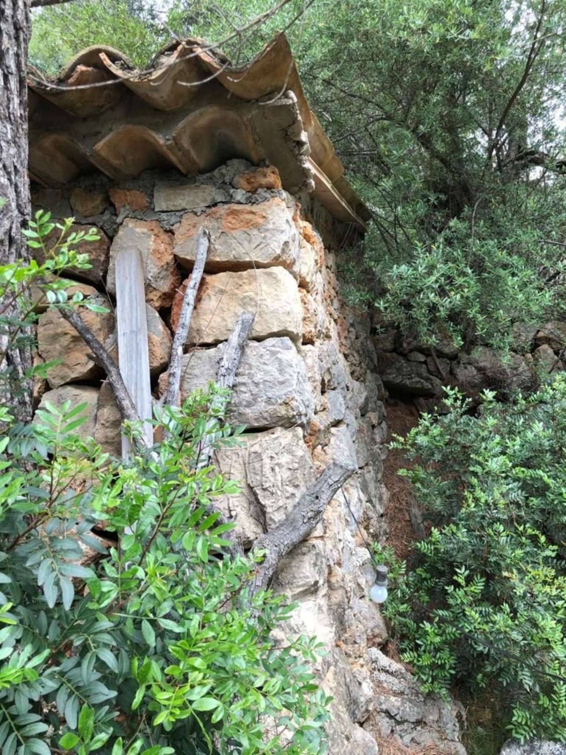 Rustikales Grundstück zum Verkauf in Soller