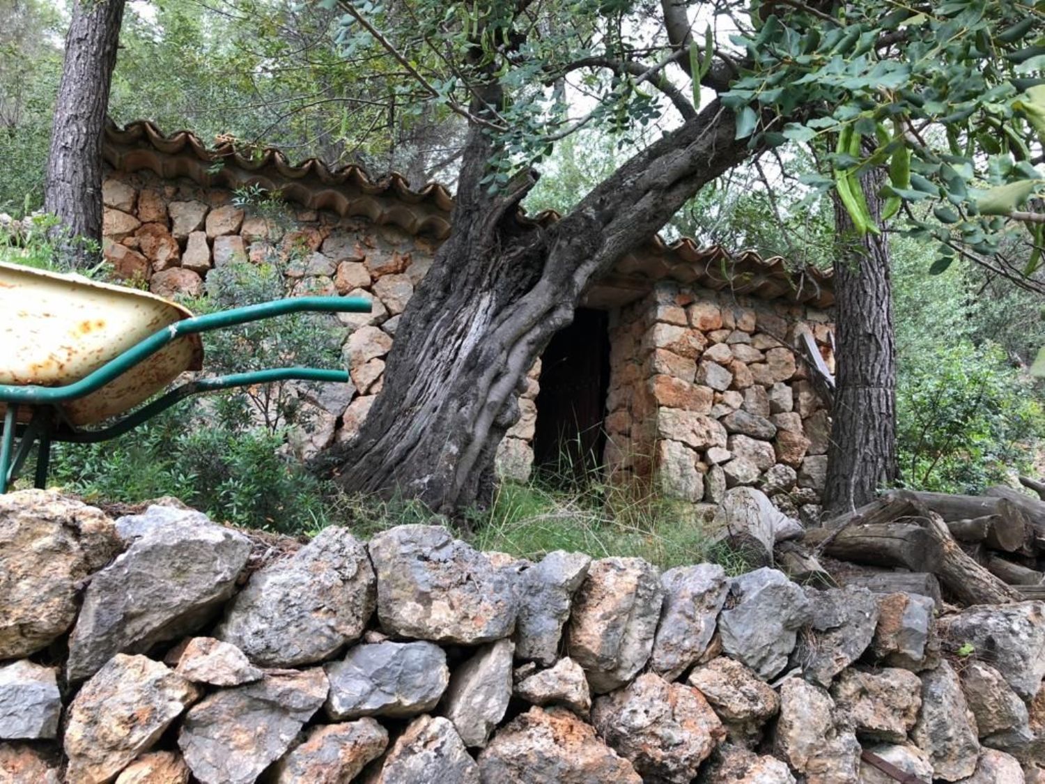 Rustic Plot for sale in Soller