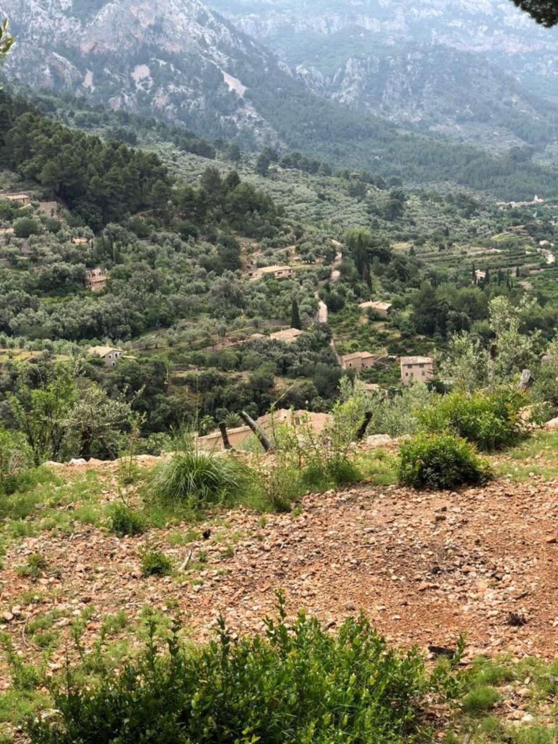 Terrain rustique à vendre à Soller