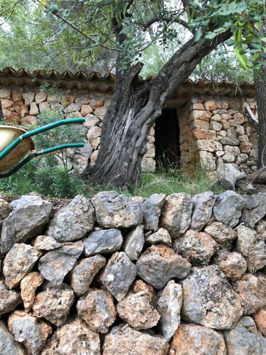 Se Vende Solar Rùstico en Soller