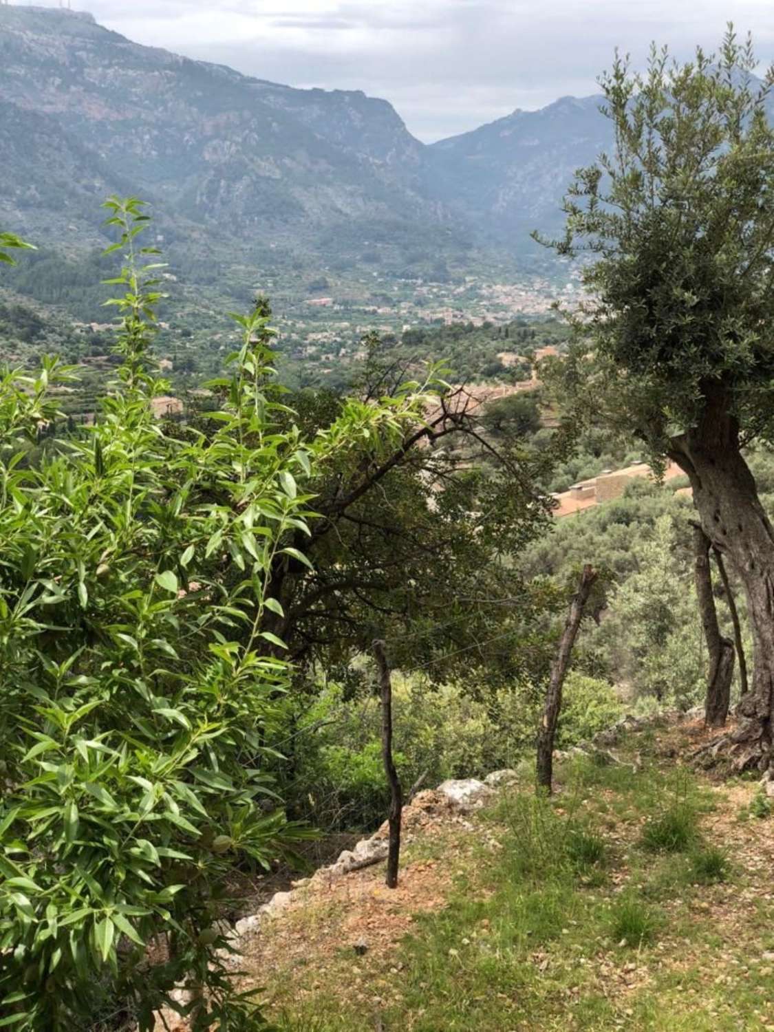 Rustikales Grundstück zum Verkauf in Soller