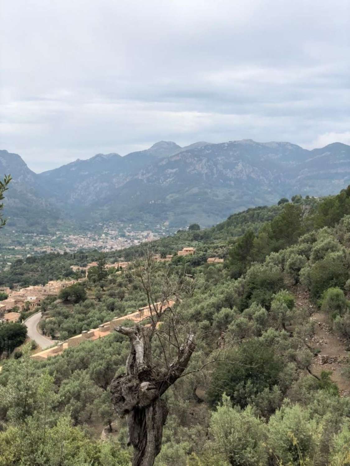 Rustikales Grundstück zum Verkauf in Soller