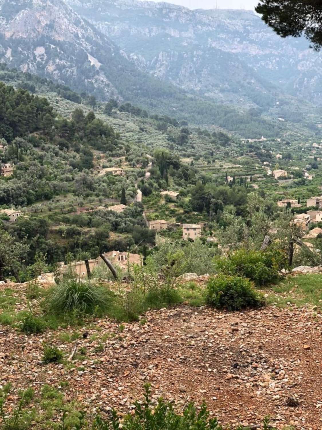 Terrain rustique à vendre à Soller