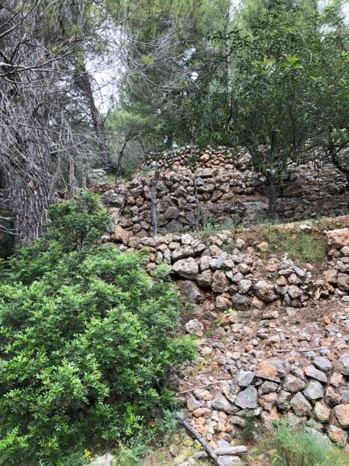 Rustikales Grundstück zum Verkauf in Soller