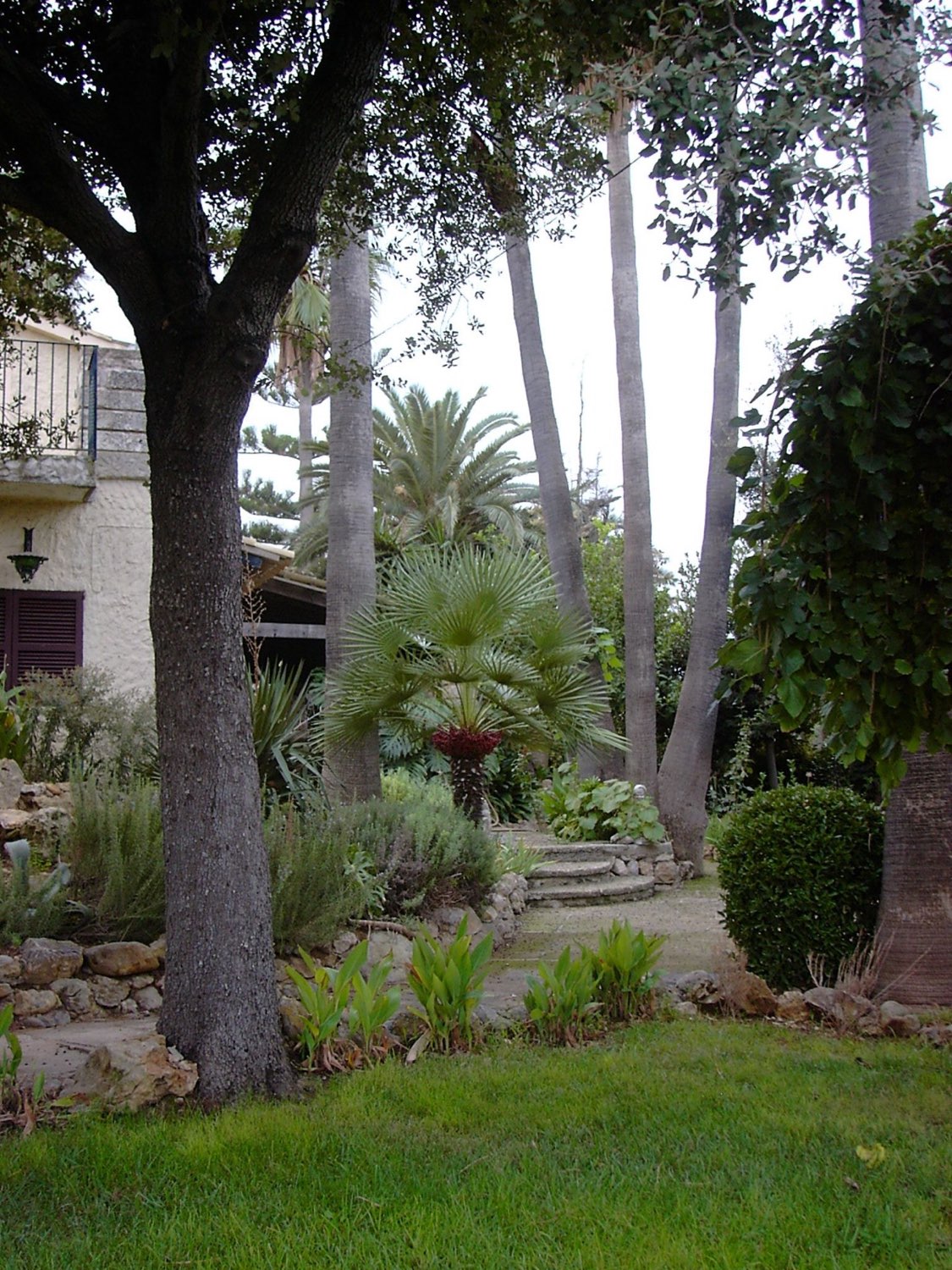 Rustikale Finca in Inca mit Ferienlizenz