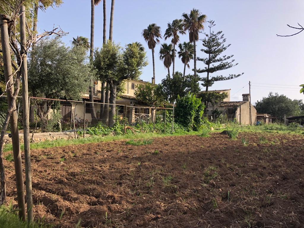 Rustikale Finca in Inca mit Ferienlizenz