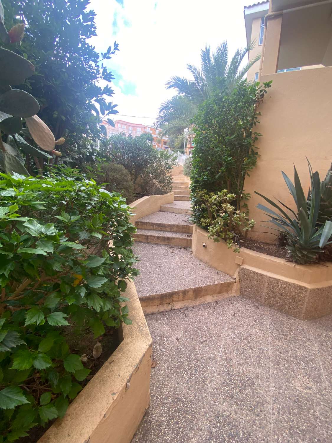 Alquiler Temporal en Santa Ponca