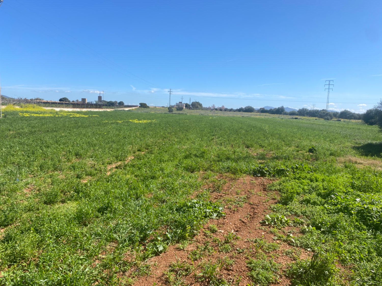 Entrepôt à louer avec terrain à usage agricole