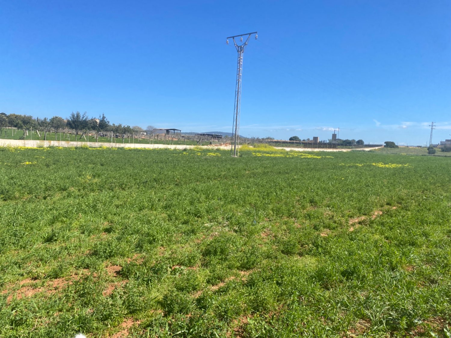 Entrepôt à louer avec terrain à usage agricole