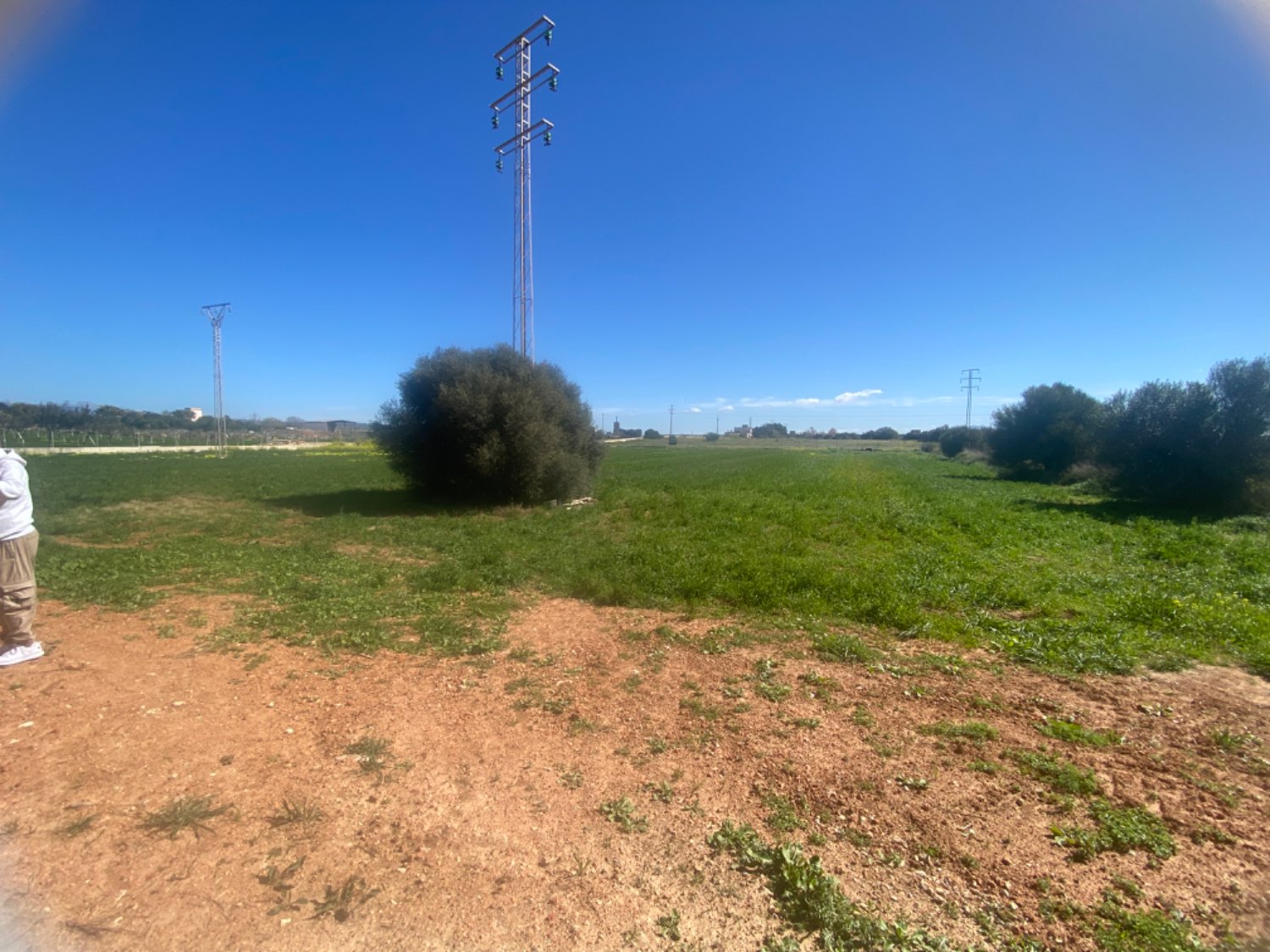 Entrepôt à louer avec terrain à usage agricole