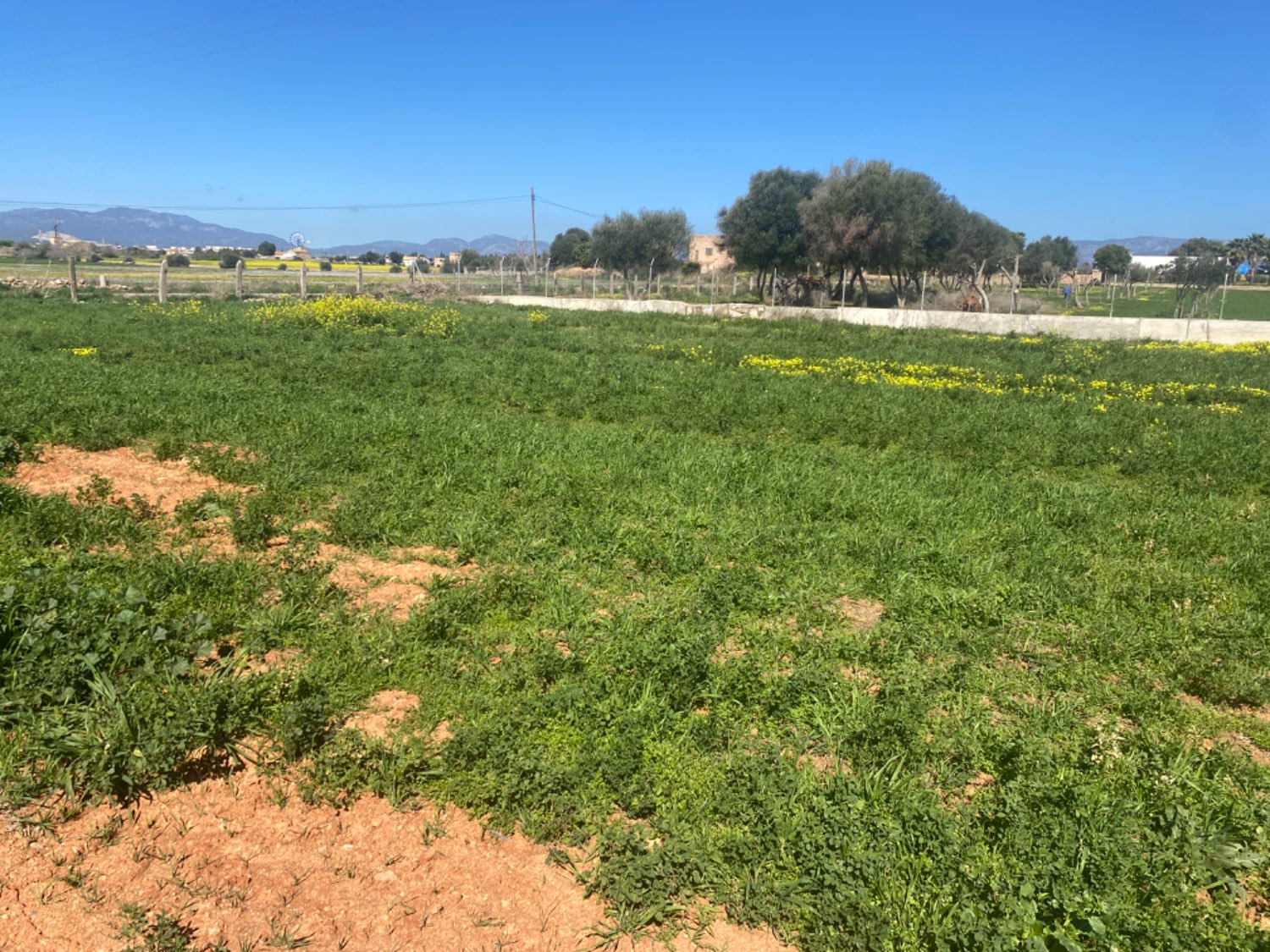 Entrepôt à louer avec terrain à usage agricole