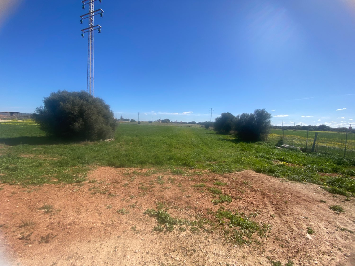 Industriel udlejes i Son Ferriol - Sant Jordi (Palma de Mallorca)