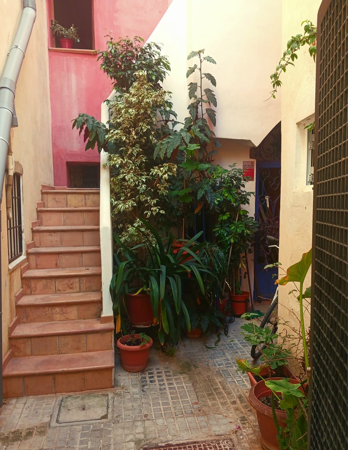 Planta Baja en Santa Catalina