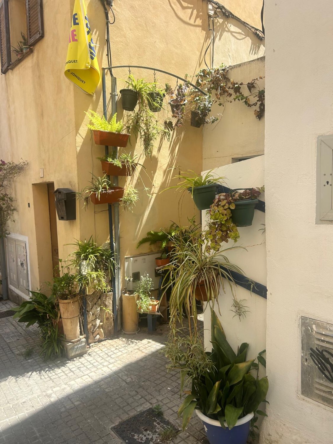 Planta Baja en Santa Catalina
