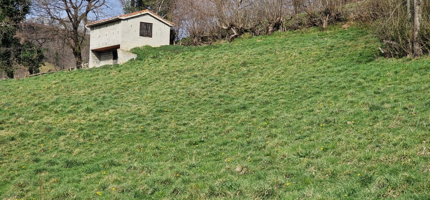 Rodinný dům v prodeji in Riosa