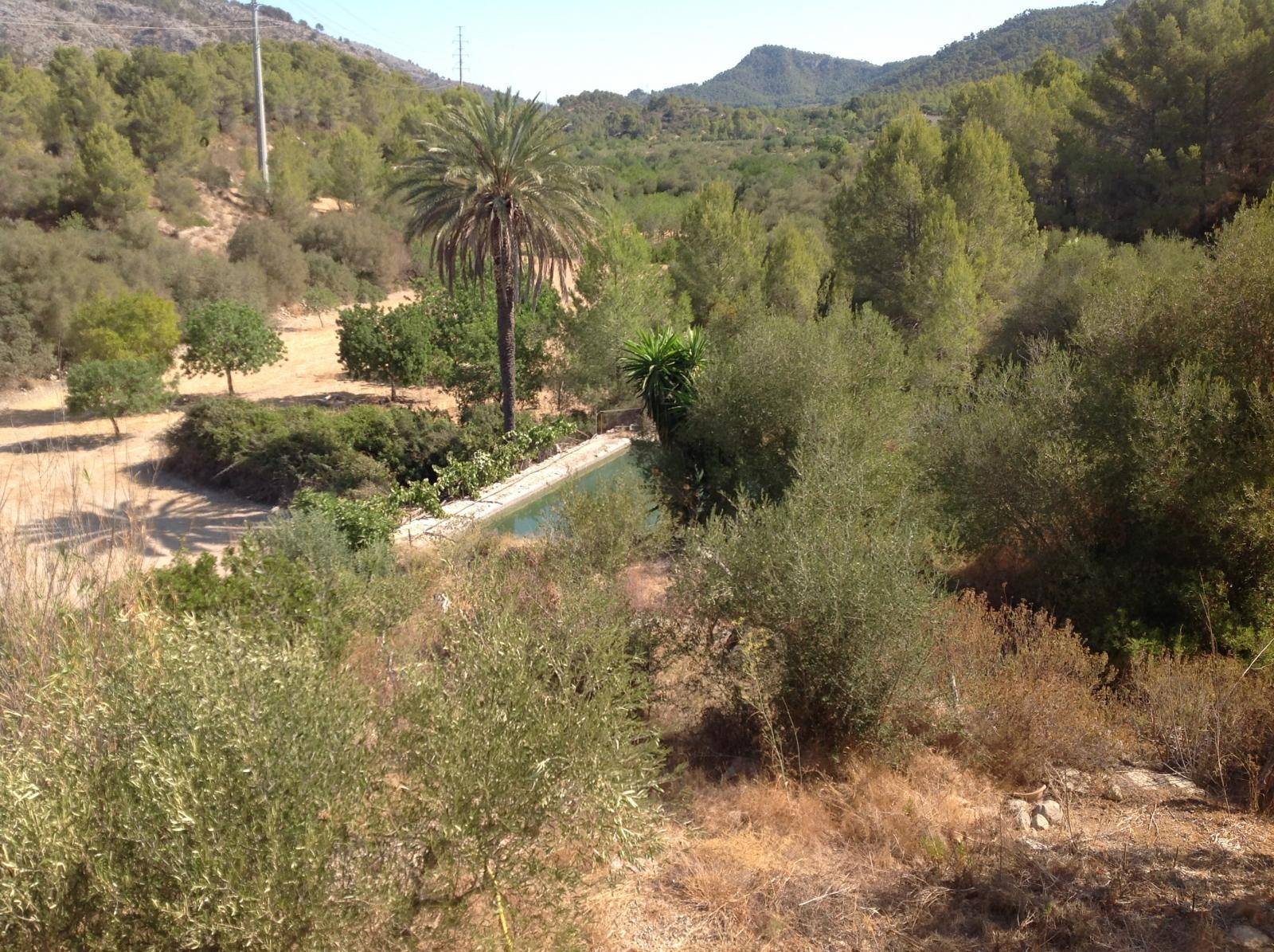 Alquiler de Chalet Rústico en Calvia