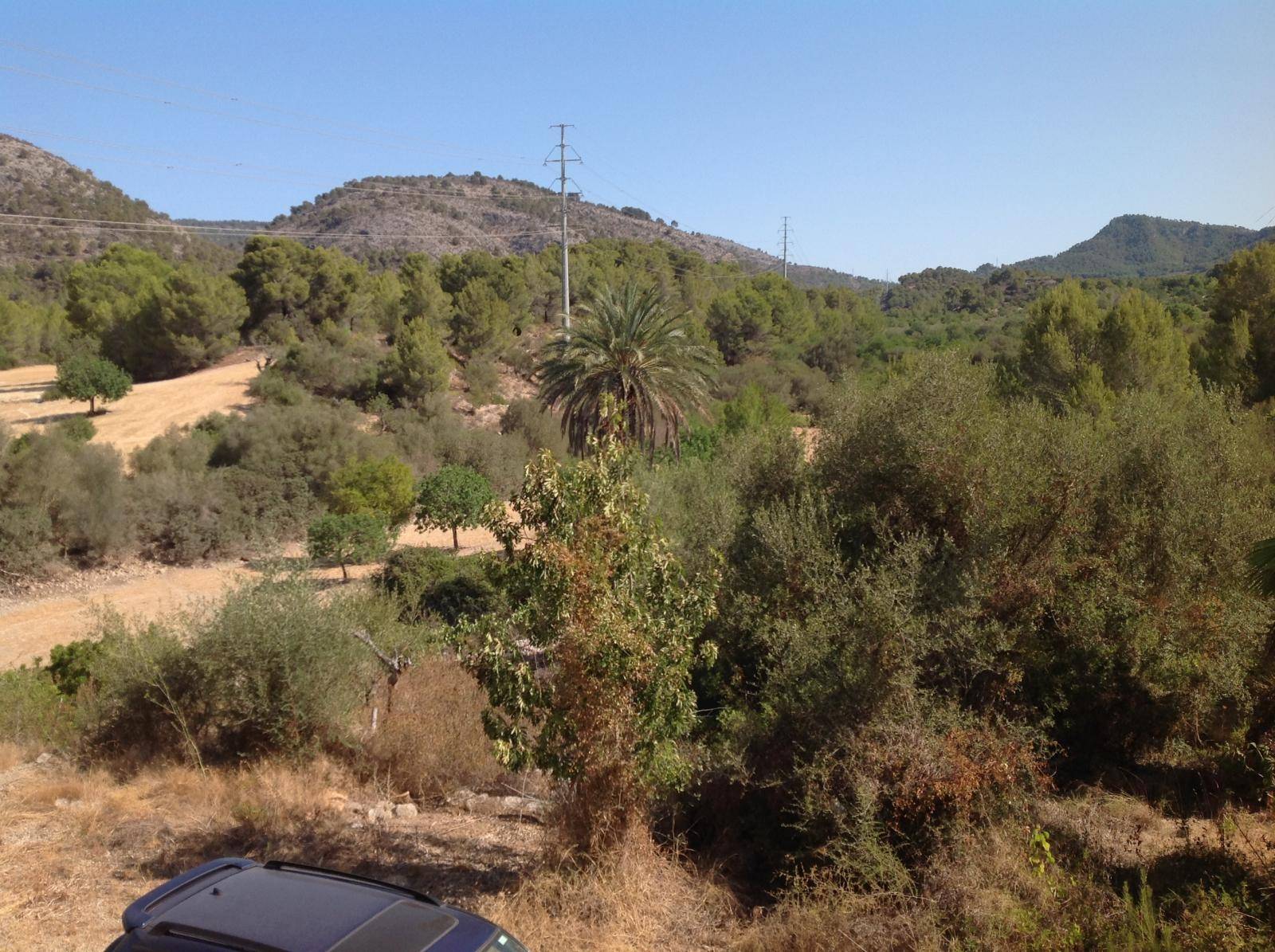 Rustic Chalet Rental in Calvia