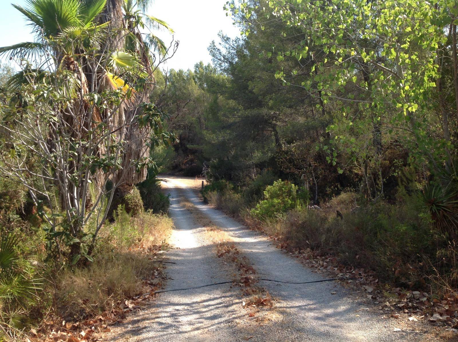 Rustic Chalet Rental in Calvia