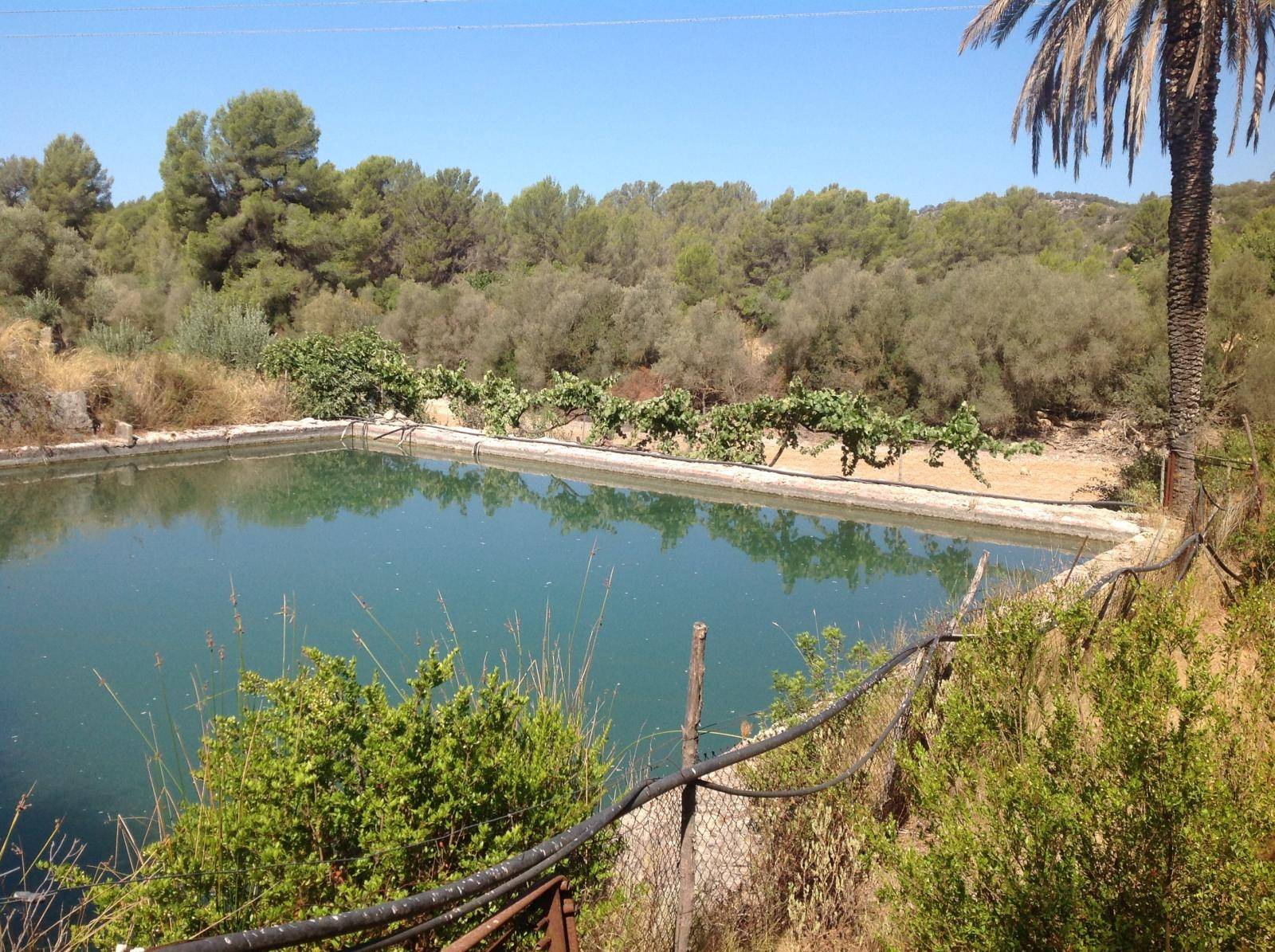 Rustikale Chalet-Vermietung in Calvia