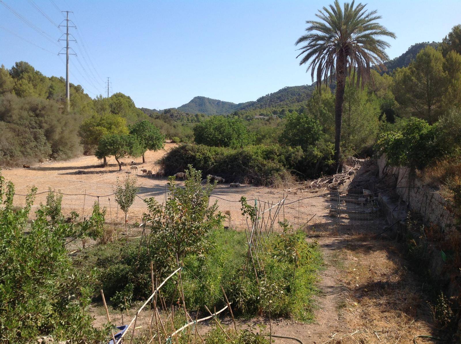 Rustikale Chalet-Vermietung in Calvia