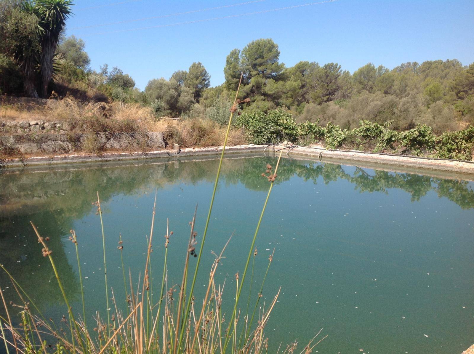 Rustiek chalet verhuur in Calvia