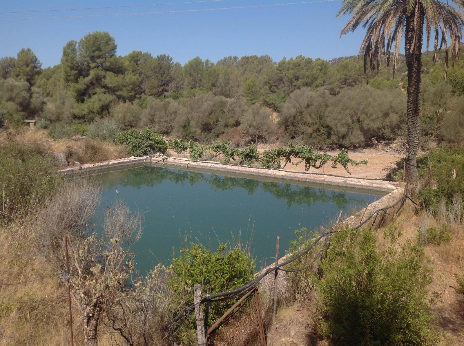 Rustikale Chalet-Vermietung in Calvia